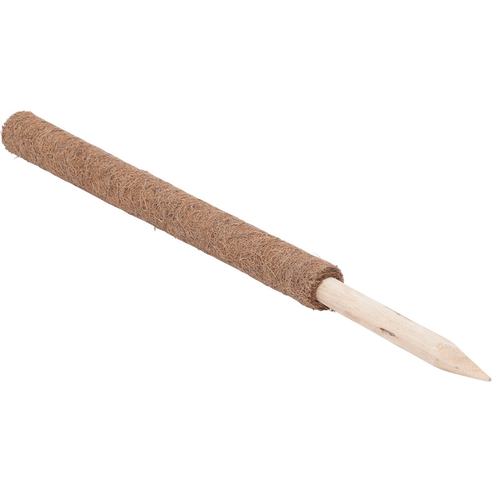 Tutore decorativ cocos, 80 cm