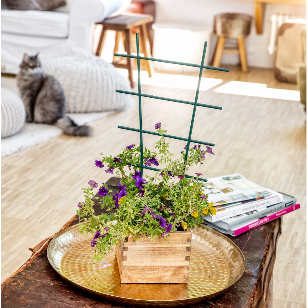 Suport plante, 25.5 x 15 cm, plastic