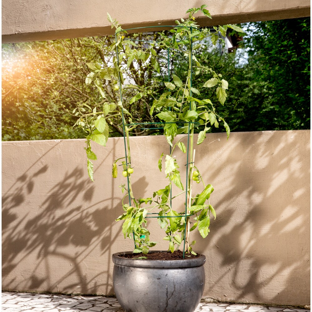 Spalier rotund pentru tomate, otel, 35 x 140 cm