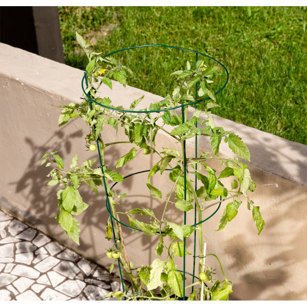 Spalier rotund pentru tomate, otel, 35 x 140 cm