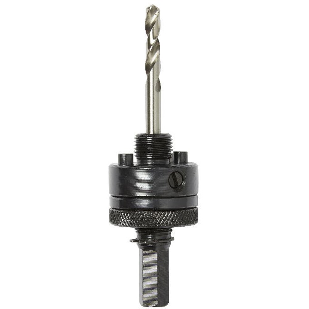 Arbore carota ERBAUER, SDS