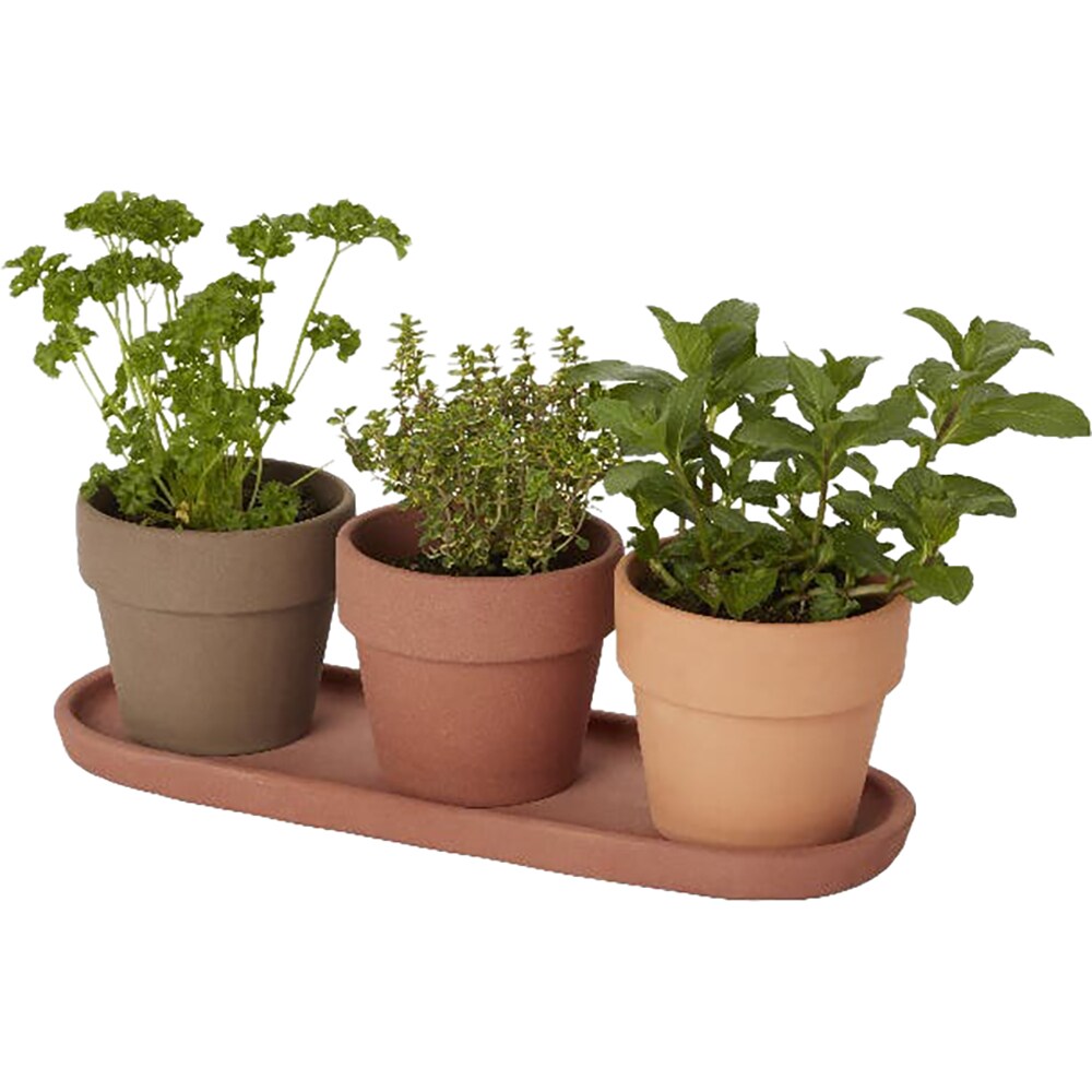 Set 3 ghivece rotunde GOODHOME, teracota, 10.9 cm, maro