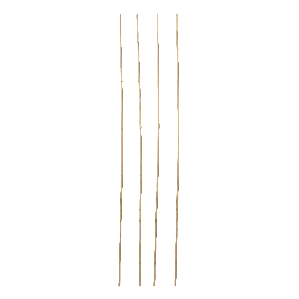 Arac bambus VERVE 100672686, 240cm