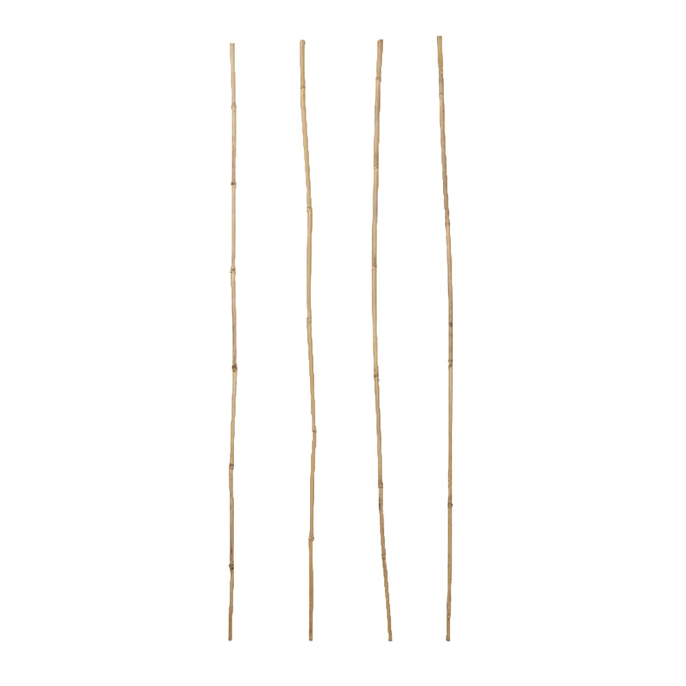 Arac bambus VERVE 100846112, 90cm