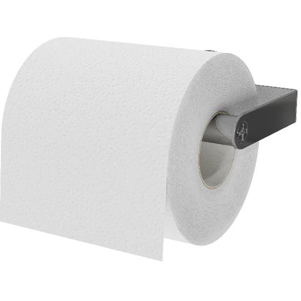 Suport hartie igienica GOODHOME Drina, argintiu