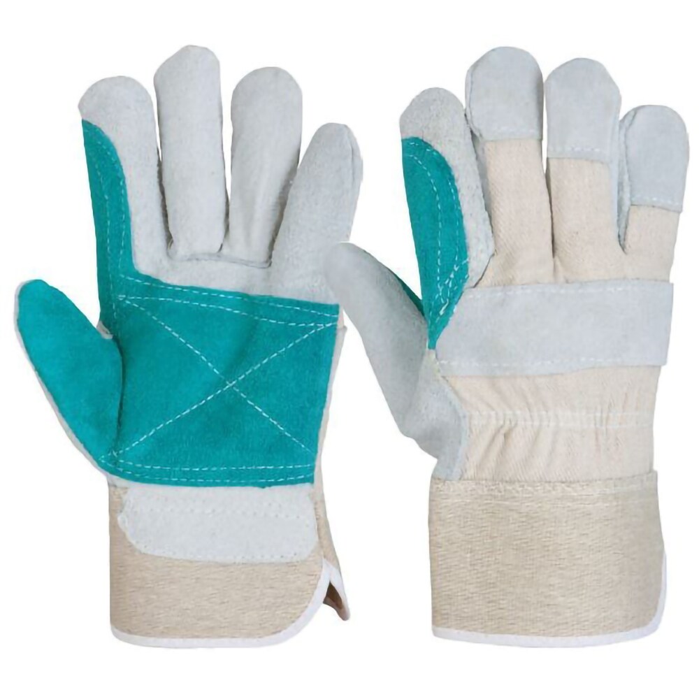 MANUSI FORESIA DCT 10