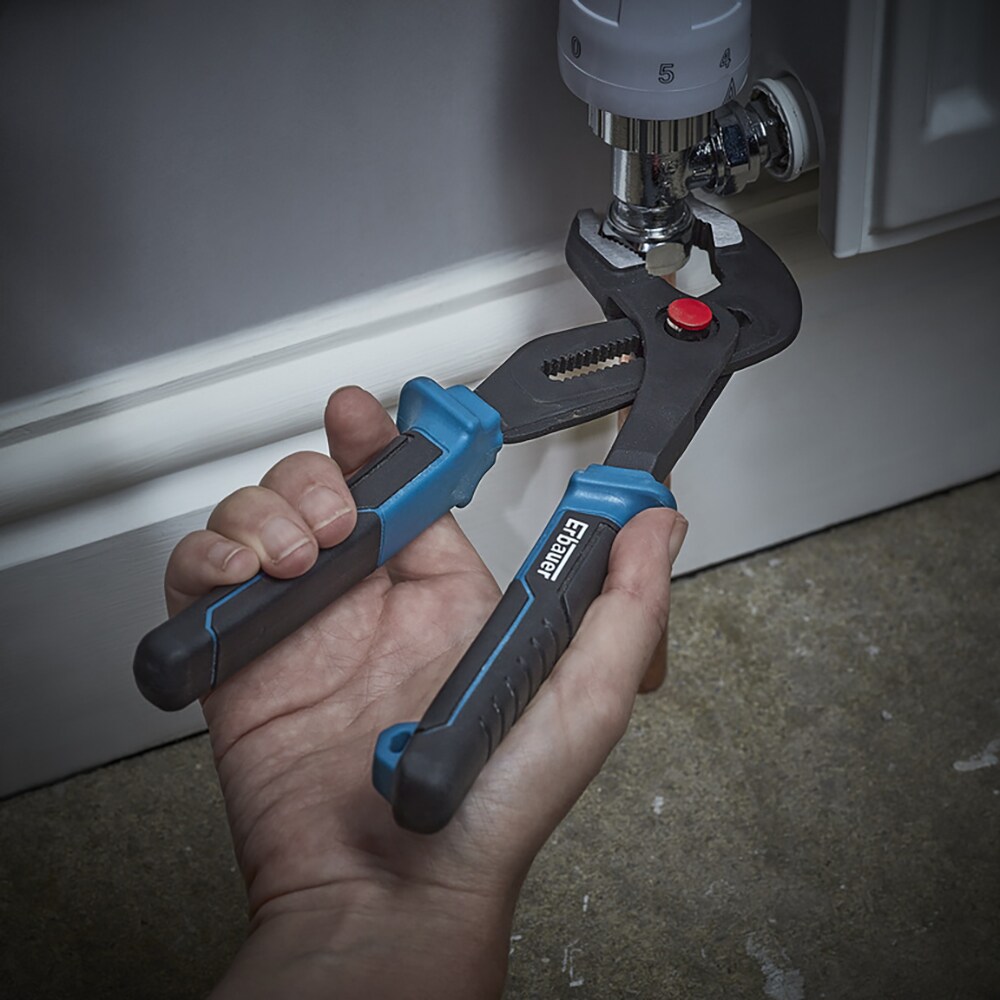 Cleste papagal ERBAUER, 25cm