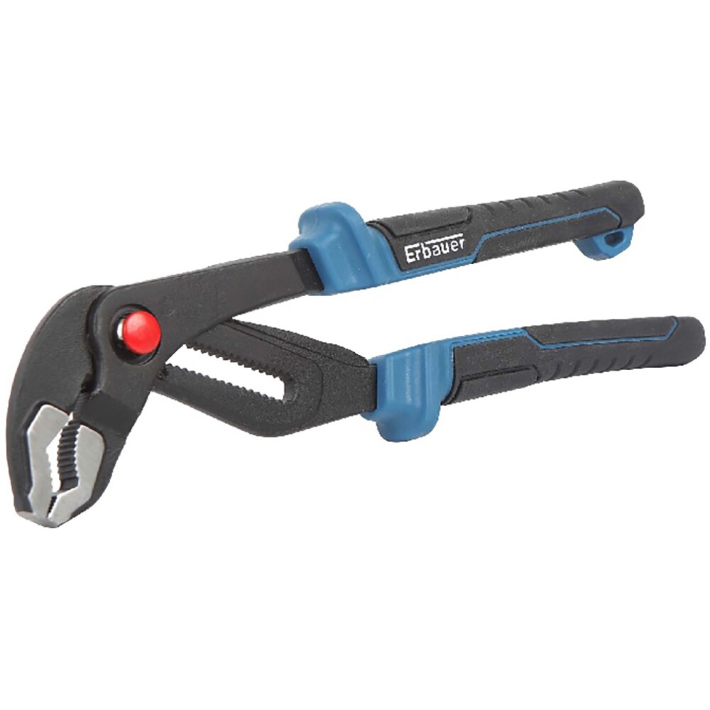 Cleste papagal ERBAUER, 25cm