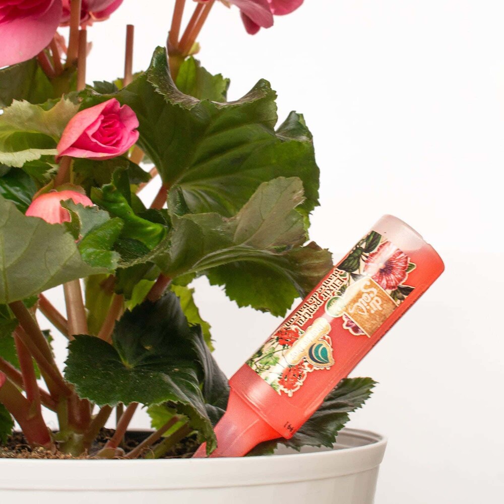 Ingrasamant pentru muscate si plante de balcon Dr. Soil, 32 ml