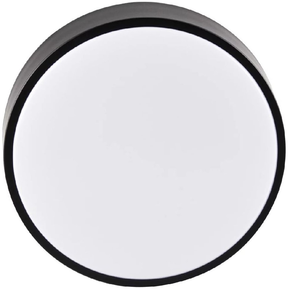 Plafoniera LED Rene 317445, 15W, 1600lm, negru