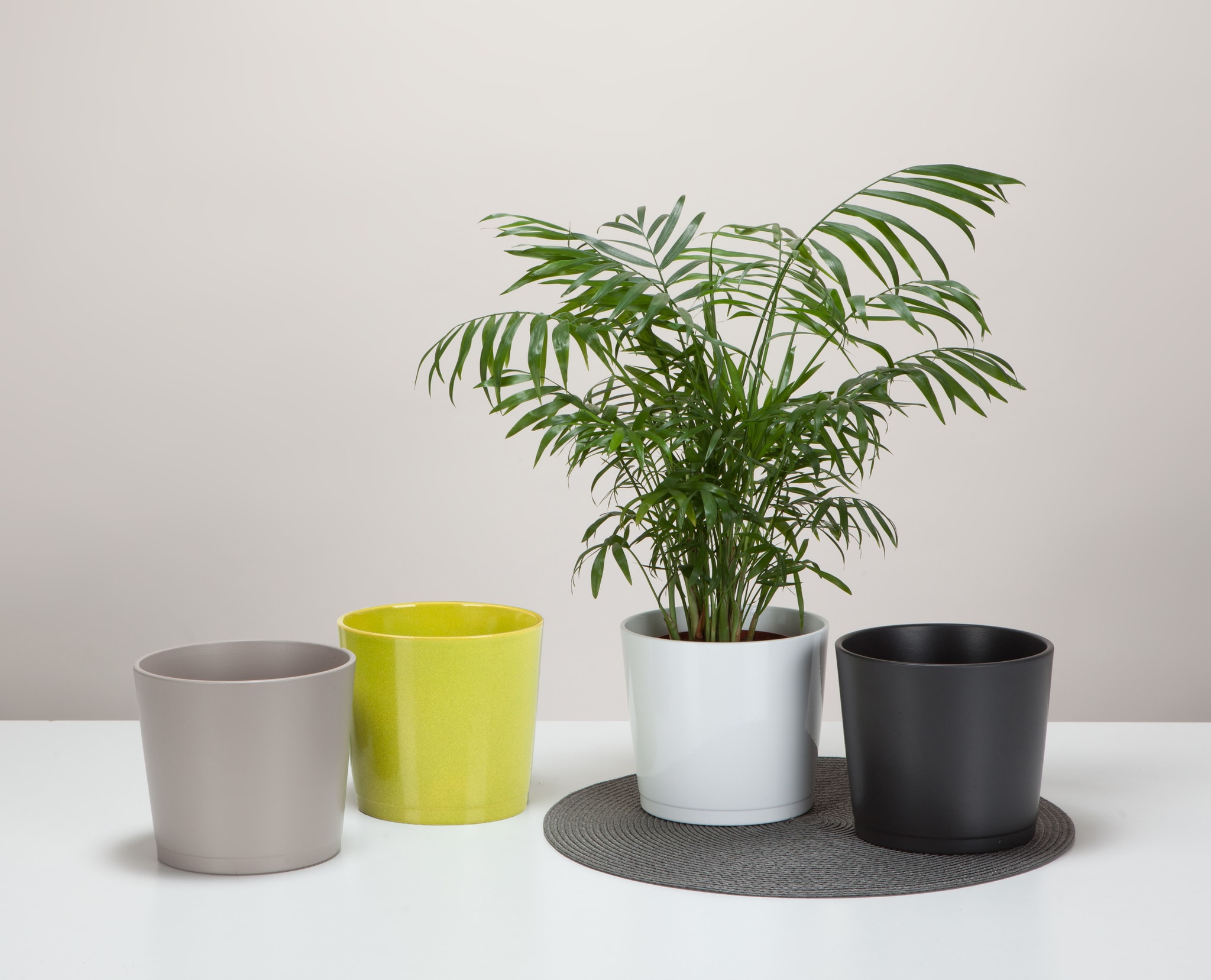 Ghiveci flori SCHEURICH, ceramica, D 15 cm, alb