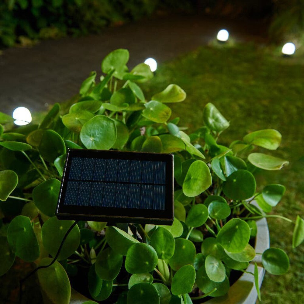 Set 4 lampi solare Bollard Stake, IP44, negru