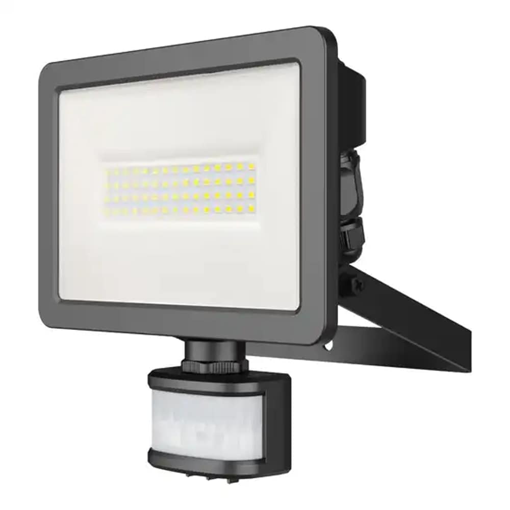 Proiector LED GOODHOME Lucan 101535384, 30W, 3000lumeni, negru