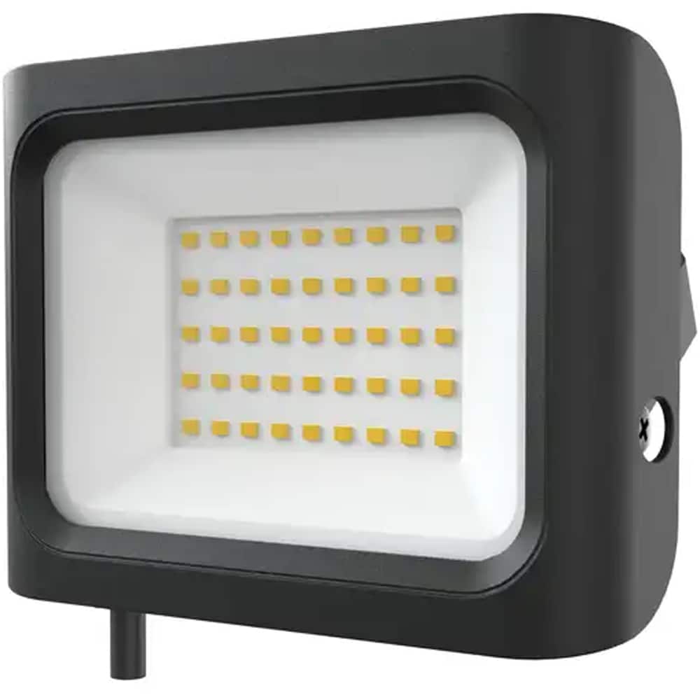 Proiector LED 101545186, 30W, 6500k