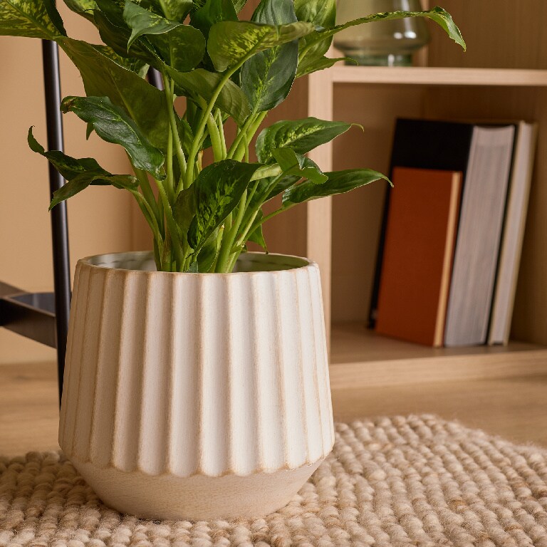 Ghiveci flori VERVE, teracota, D 22 cm, bej