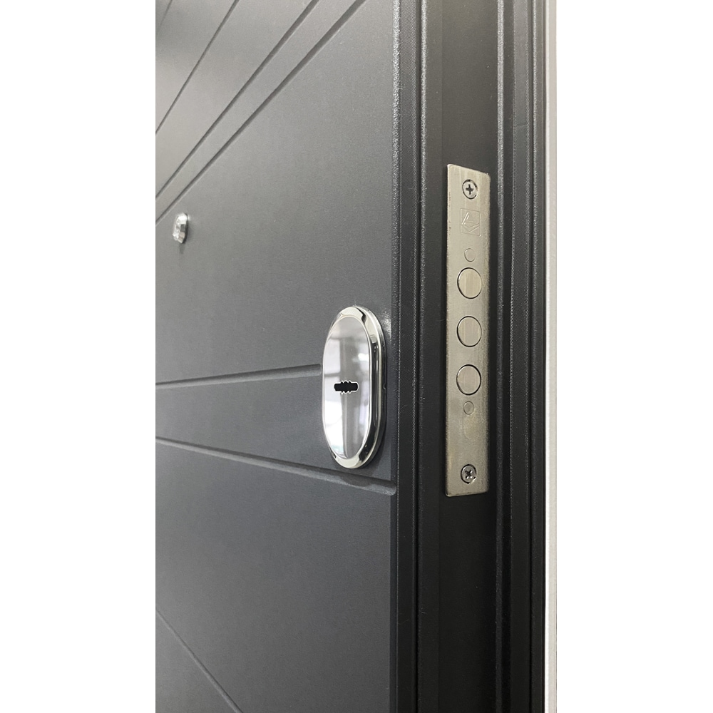 Usa exterior BELLA CASA BC700, fara geam, dreapta, metal, 77 x 194 cm, antracit-alb