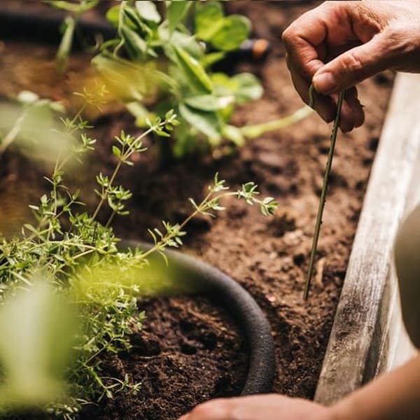 Furtun poros de gradina FISKARS 1025935, 15m