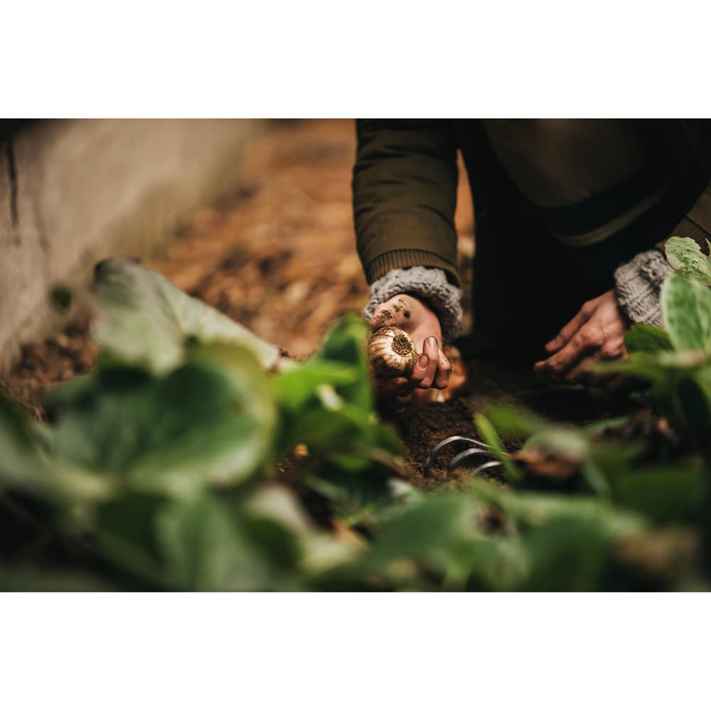 Grebla de mana FISKARS Xact, otel inoxidabil, argintiu