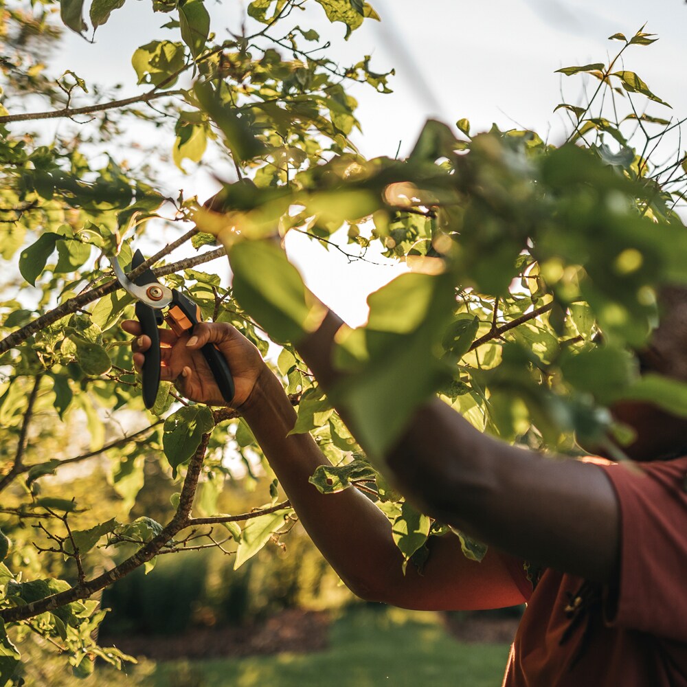 Foarfeca FISKARS Solid, marimea M, pas cu pas P321, otel, negru