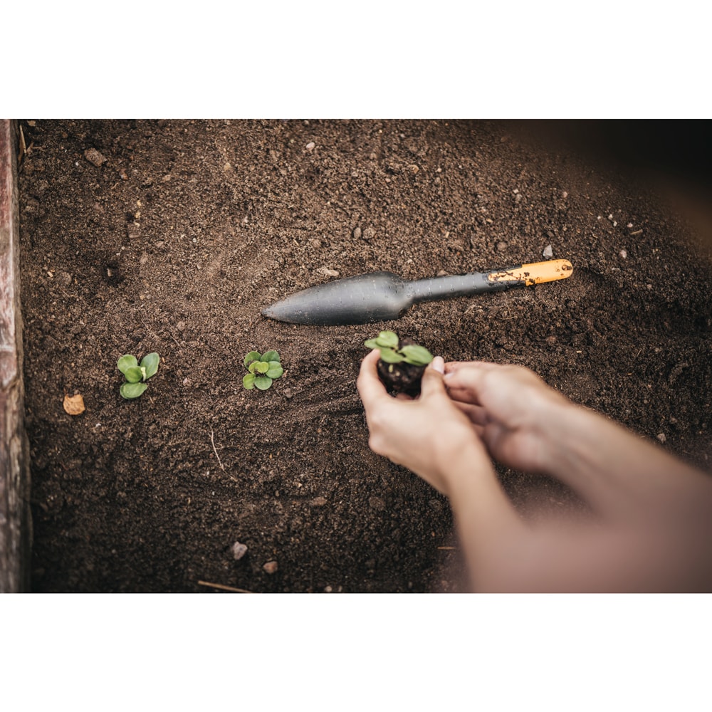 Plantator FISKARS Solid, plastic, negru