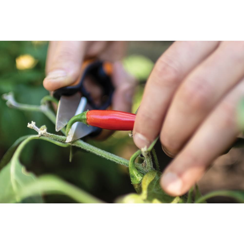 Foarfeca pentru plante aromatice FISKARS SP220 Solid, otel, negru