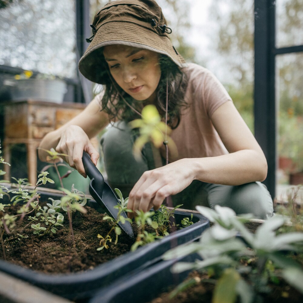 Plantator FISKARS Solid, plastic, negru