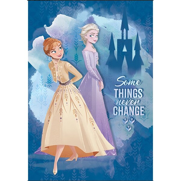 Set 10 caiete DISNEY Frozen, dictando, A4, 40+2 file, legatura capsata, diverse modele