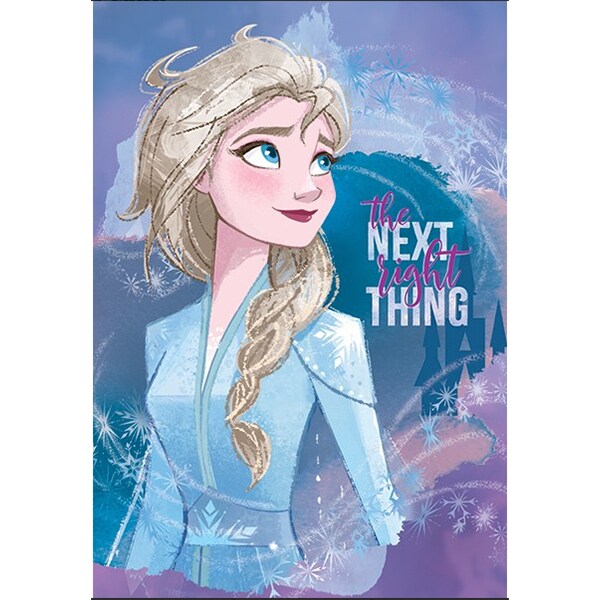 Set 10 caiete DISNEY Frozen, dictando, A4, 40+2 file, legatura capsata, diverse modele