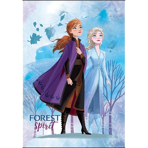 Set 10 caiete DISNEY Frozen, dictando, A4, 40+2 file, legatura capsata, diverse modele