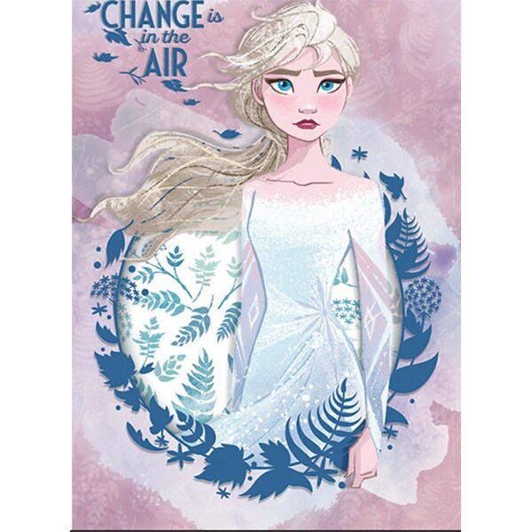 Set 10 caiete DISNEY Frozen, dictando, A4, 40+2 file, legatura capsata, diverse modele