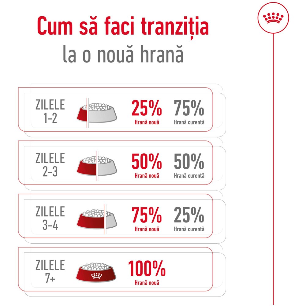 Hrana uscata pentru caini ROYAL CANIN SHN Mini Ageing 12+, Senior, 1.5 kg