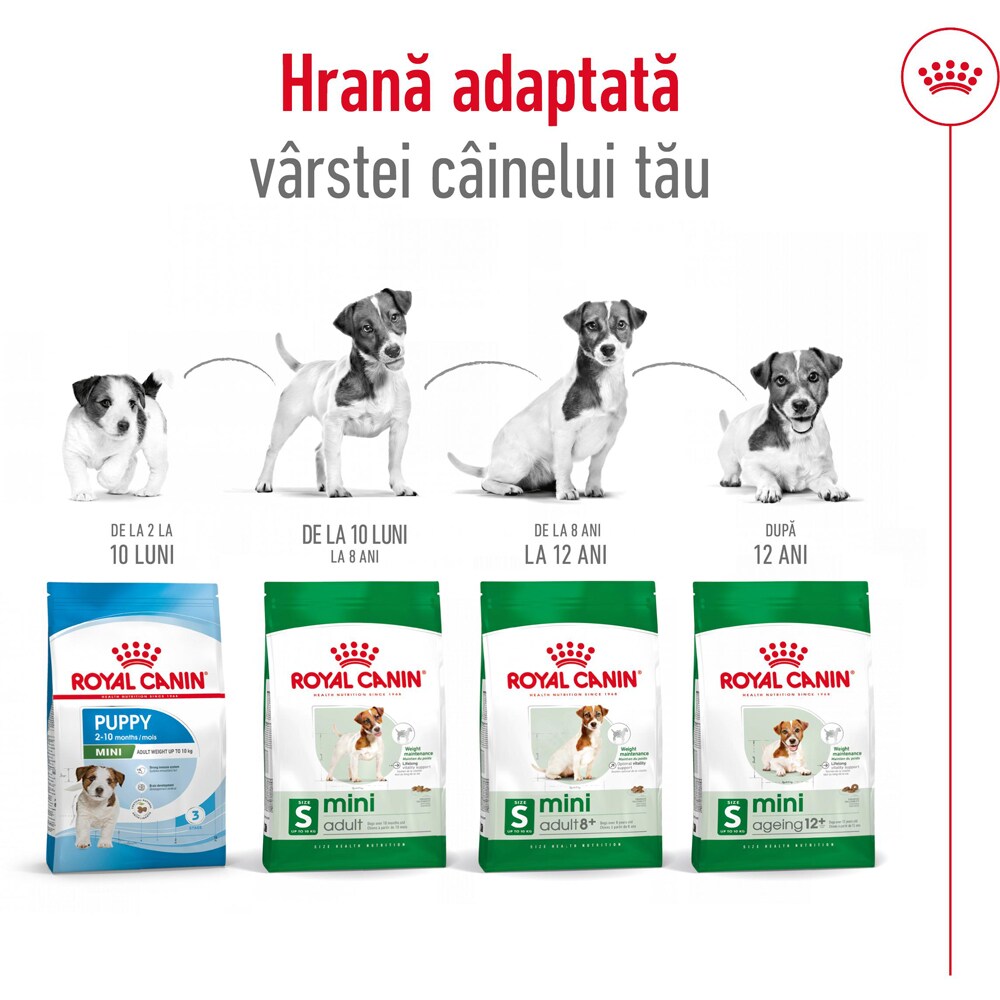 Hrana uscata pentru caini ROYAL CANIN SHN Mini Ageing 12+, Senior, 1.5 kg