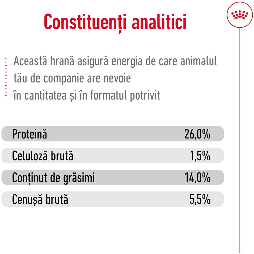 Hrana uscata pentru caini ROYAL CANIN SHN Mini Ageing 12+, Senior, 1.5 kg