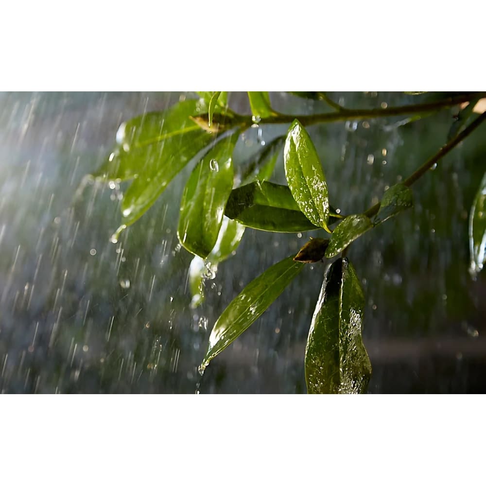 Cablu exterior PHILIPS HUE 8718696168721, IP67, negru