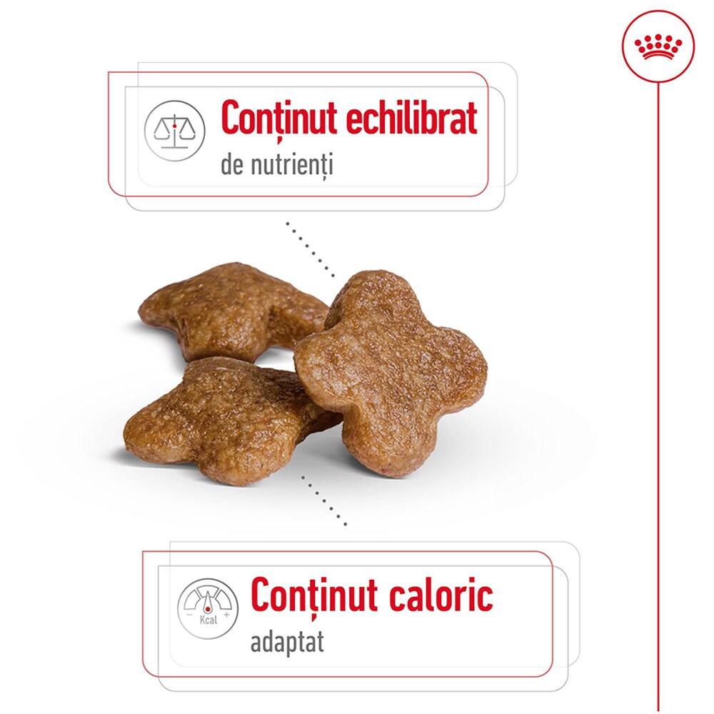 Hrana uscata pentru caini ROYAL CANIN SHN Mini 8+, Adult, 2 kg