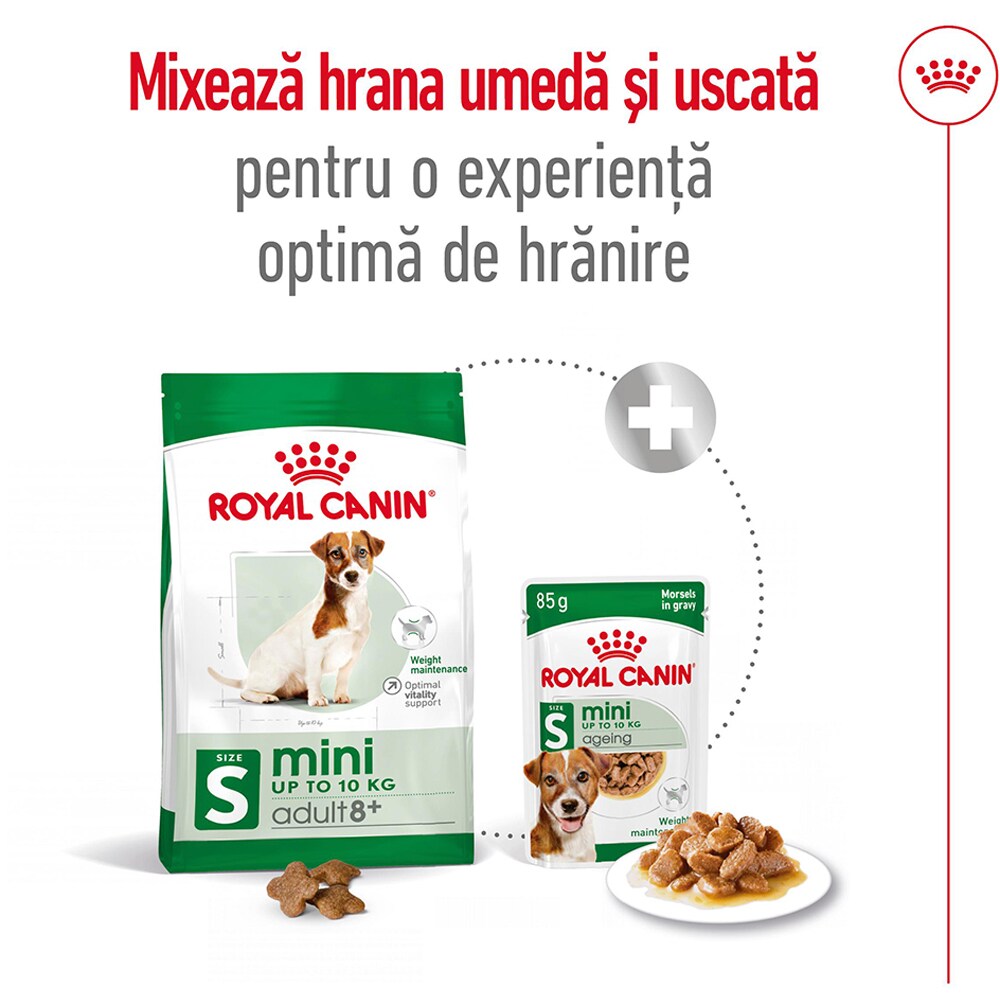 Hrana uscata pentru caini ROYAL CANIN SHN Mini 8+, Adult, 2 kg