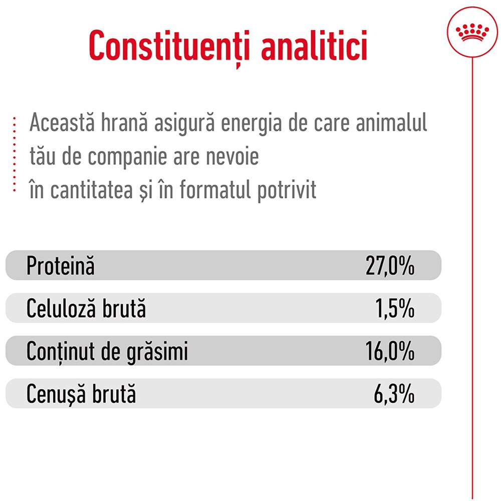 Hrana uscata pentru caini ROYAL CANIN SHN Mini 8+, Adult, 2 kg