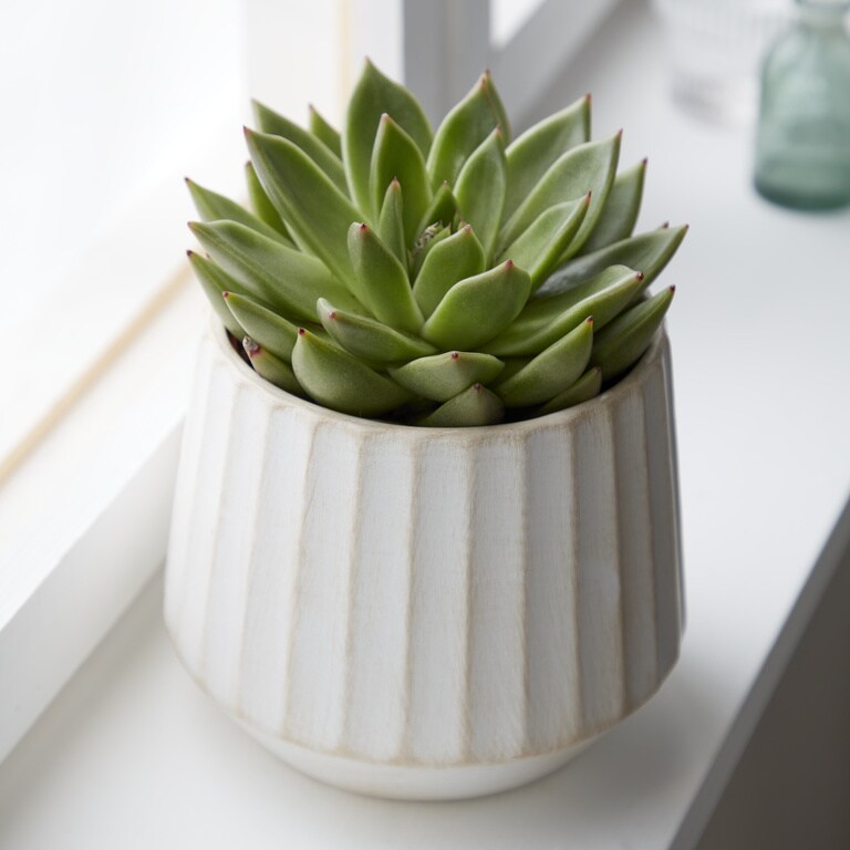 Ghiveci flori VERVE, teracota, D 16 cm, bej