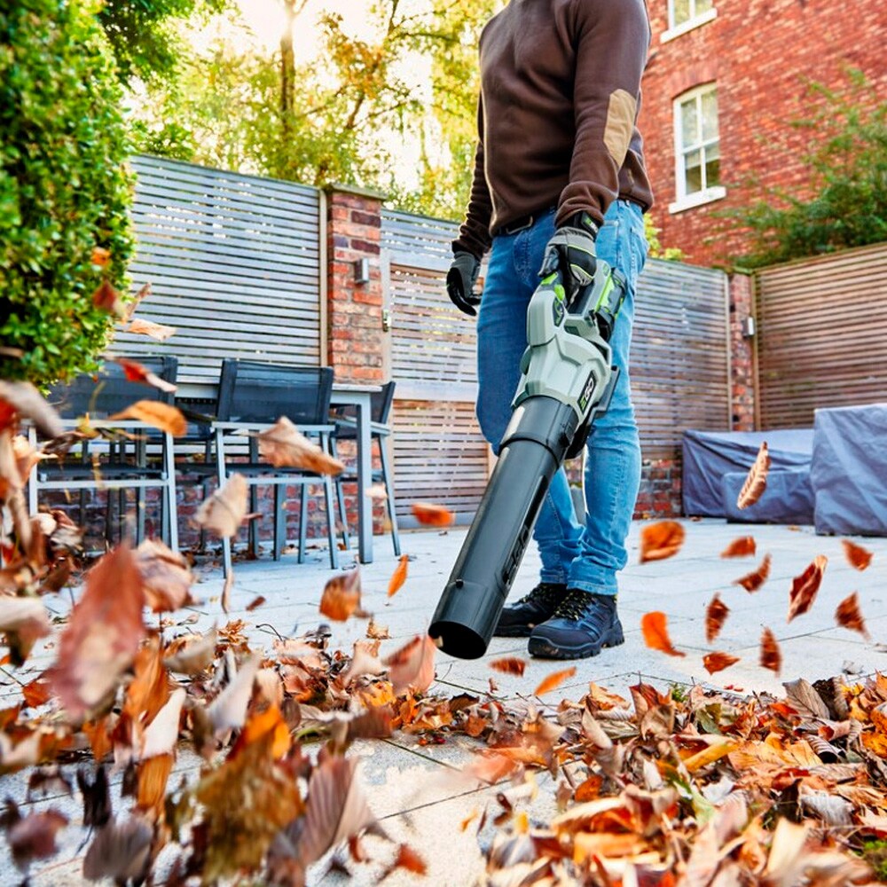 Suflanta EGO PROFESSIONAL LB5800E, 986 mc/h, 56V, Gri