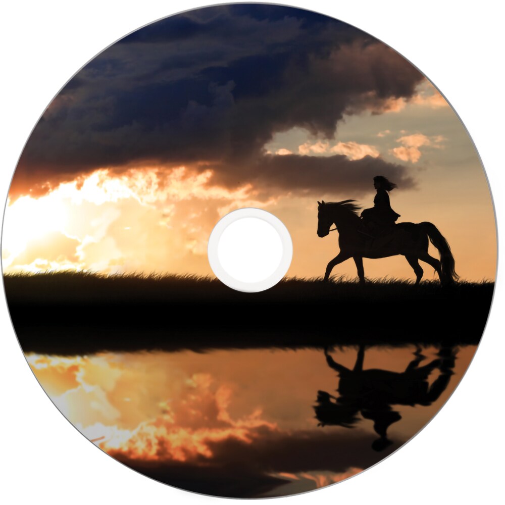 DVD+R DL VERBATIM 43667, 8x, 8.5GB, 25buc