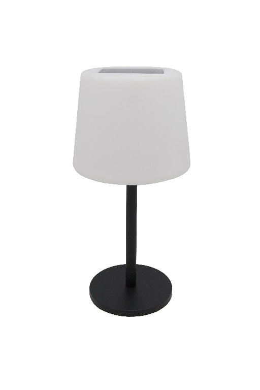Lampa solara LED, otel inoxidabil, multicolor, 1 bucata, 2 W  Blooma 