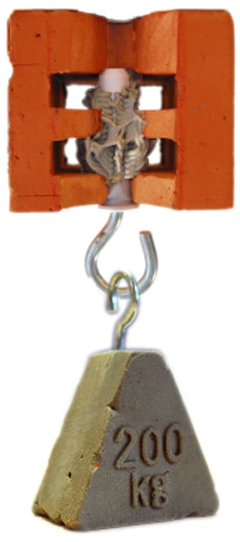 Ancora chimica Tytan Ev I, 300 ml