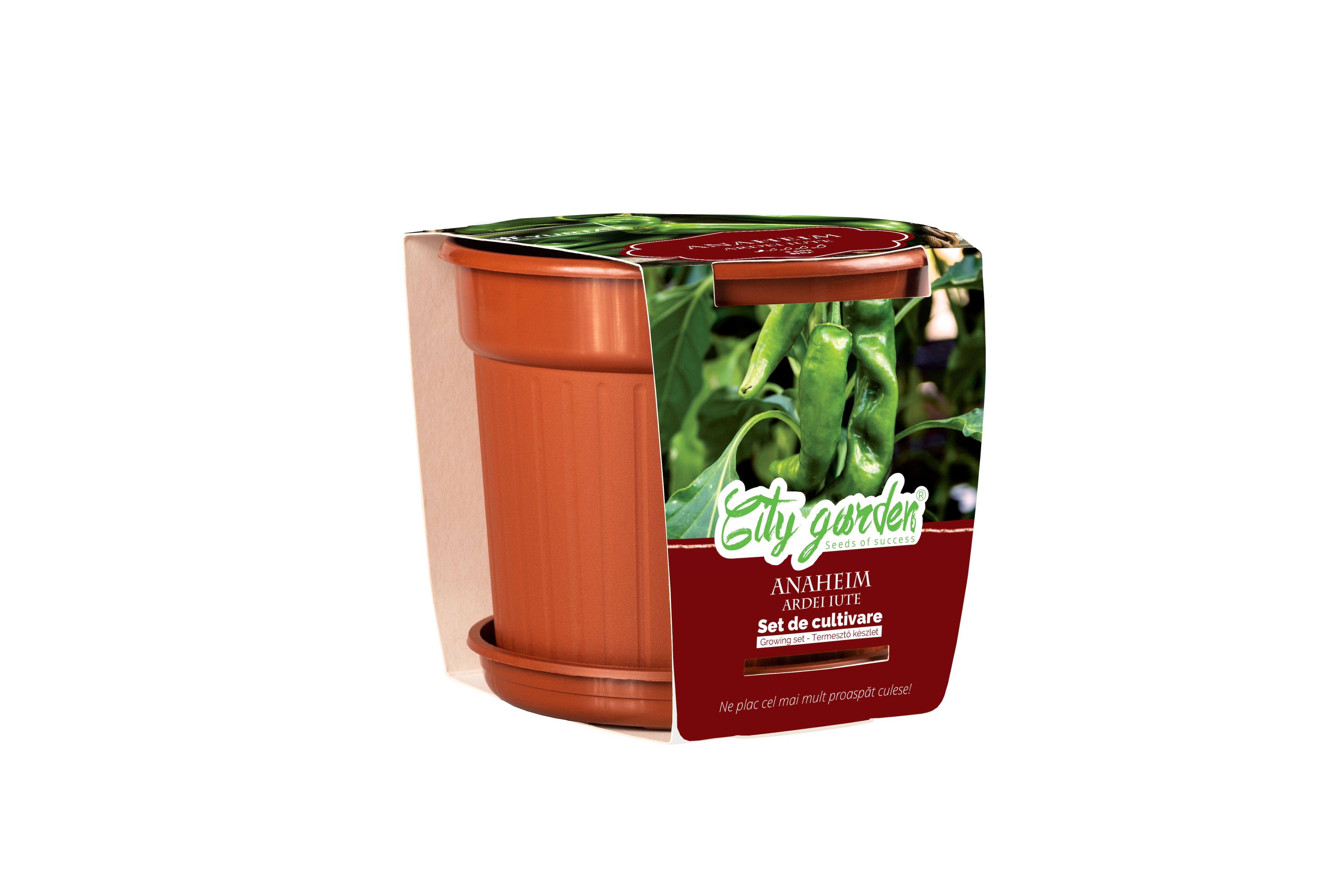 Seminte ardei iute Chili set de cultivare YURTA PROD, 400 g