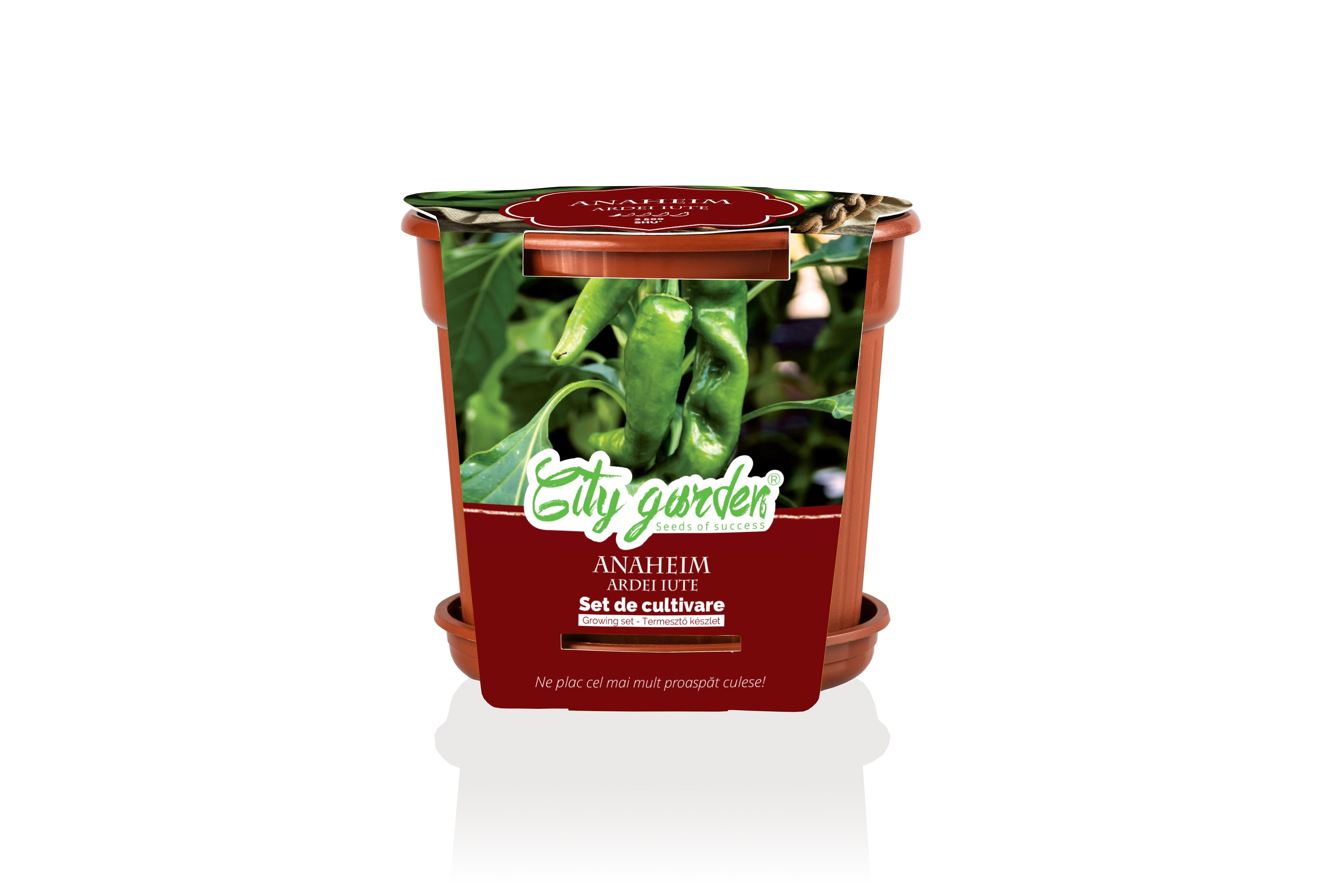 Seminte ardei iute Chili set de cultivare YURTA PROD, 400 g