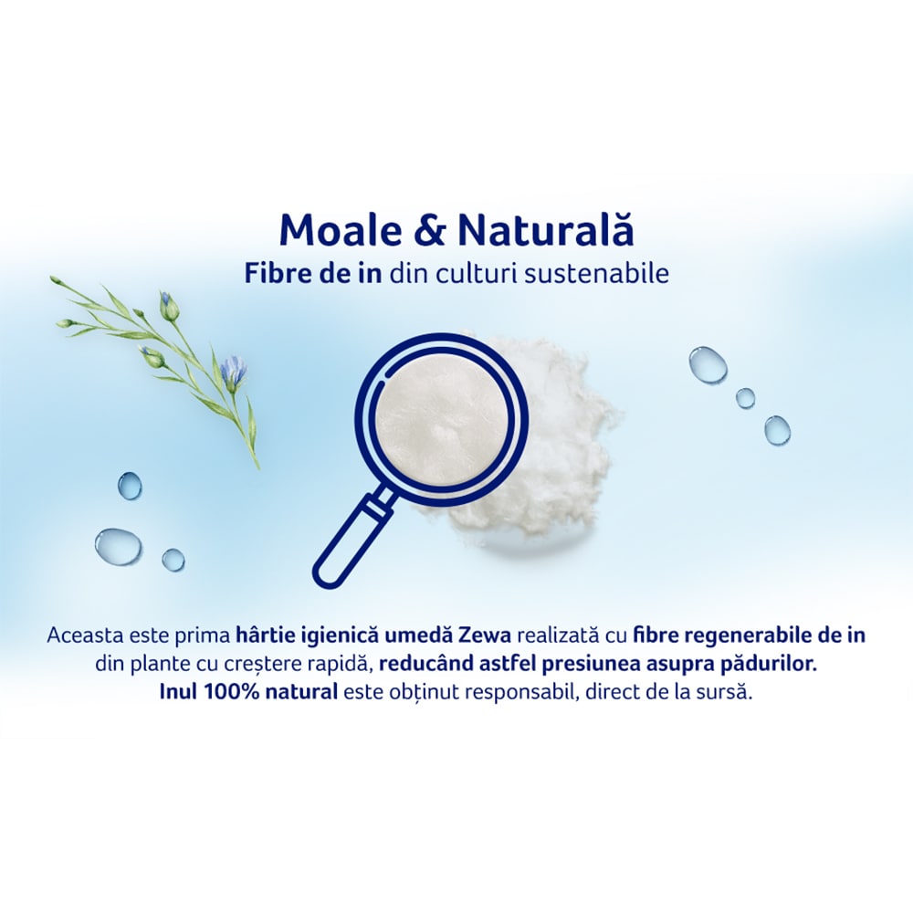 Hartie igienica umeda ZEWA Natural Camomile, 6 pachete, 42 bucati