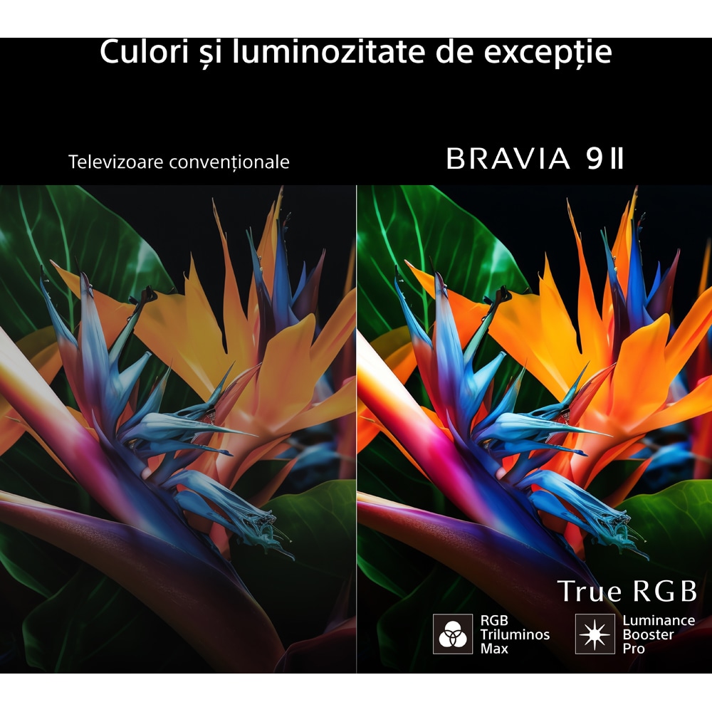 Televizor True RGB LED SONY BRAVIA 9 II 85XR95M2, Ultra HD 4K, 215cm