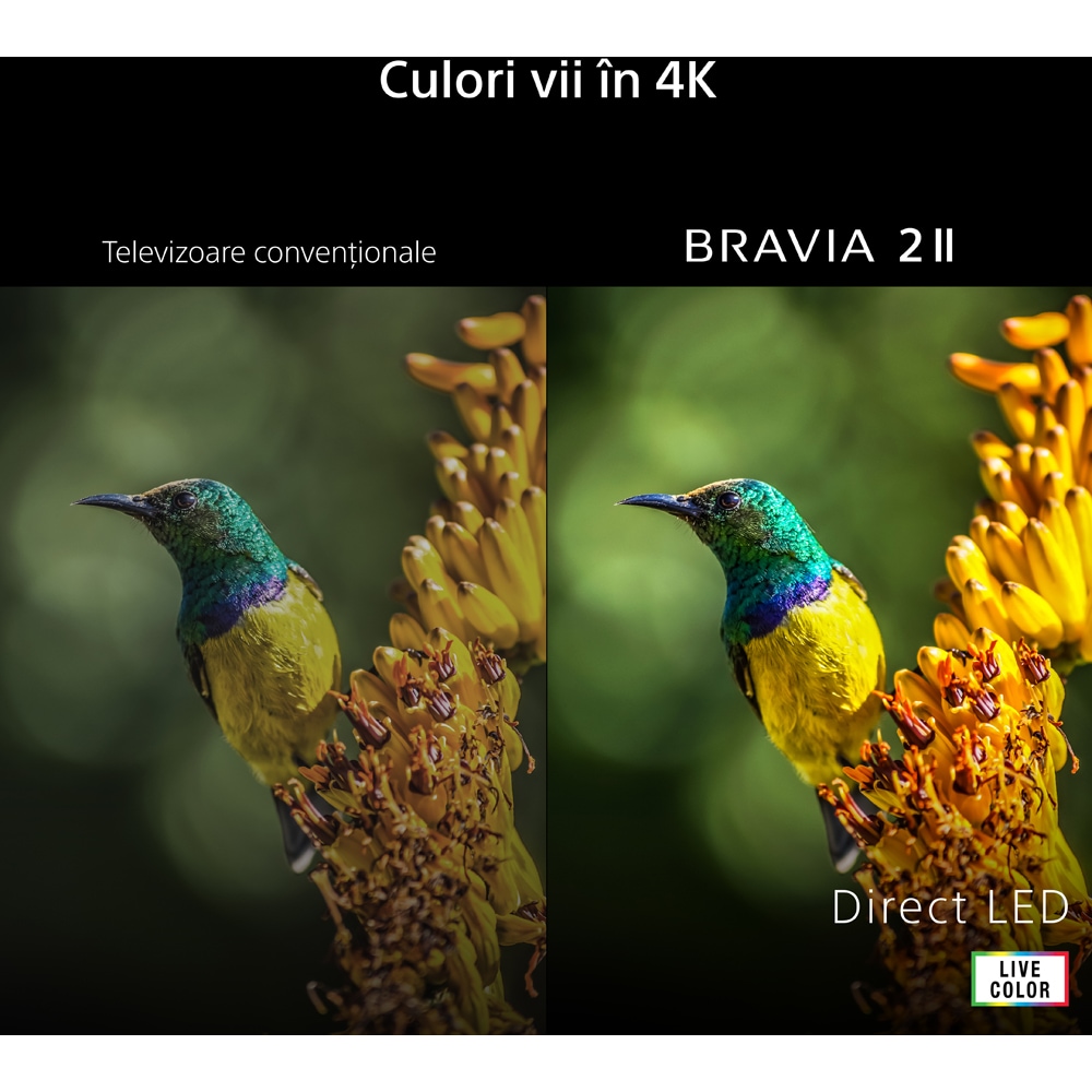 Televizor LED Smart SONY BRAVIA 2 II 65S20M2, Ultra HD 4K, 164cm