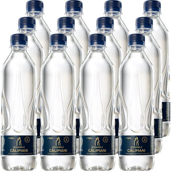 Apa plata IZVOARELE CALIMANI bax 0.5L x 12 sticle