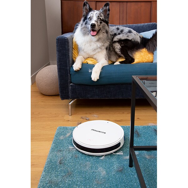 Aspirator robot ROWENTA X-Plorer Animal Serie 40 RR7267WH, 0.25l, Smart Exploration, functie mop, alb