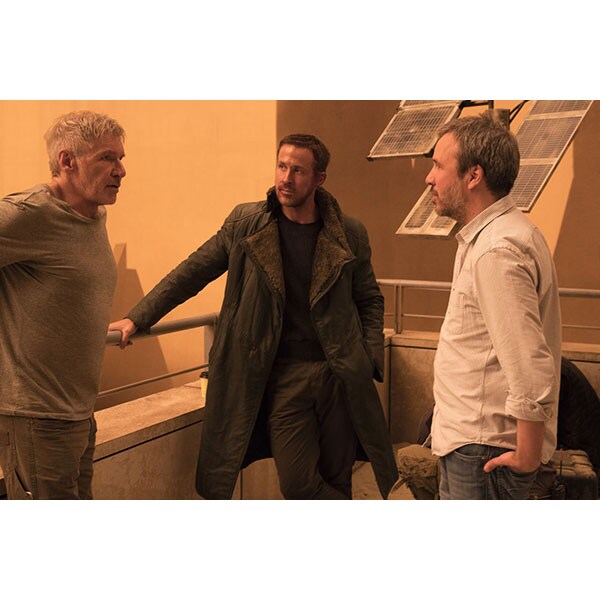 Vanatorul de recompense 2049 DVD